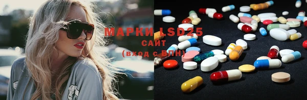 PSILOCYBIN Белокуриха