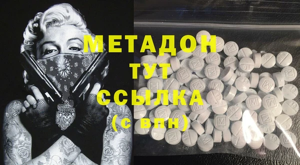PSILOCYBIN Белокуриха