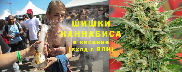 PSILOCYBIN Белокуриха
