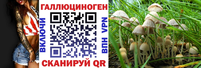 Галлюциногенные грибы GOLDEN TEACHER KRAKEN как зайти Мышкин где купить наркоту